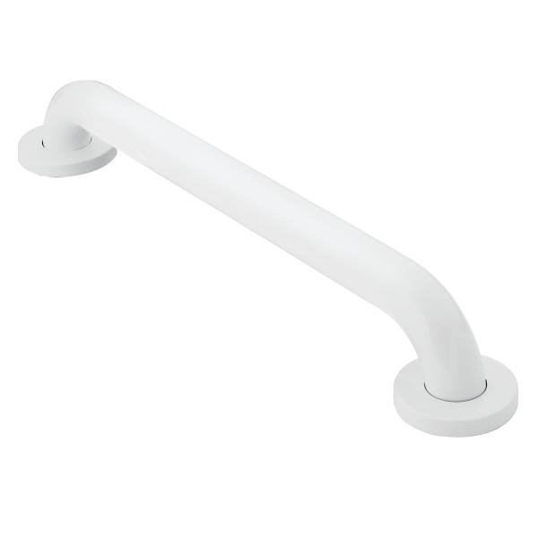 24" Grab Bar, Glacier