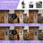 2 - Light 21.25"H Matte Black Outdoor Wall Light With Dusk To Dawn Clear Glass Shade Wall Lantern