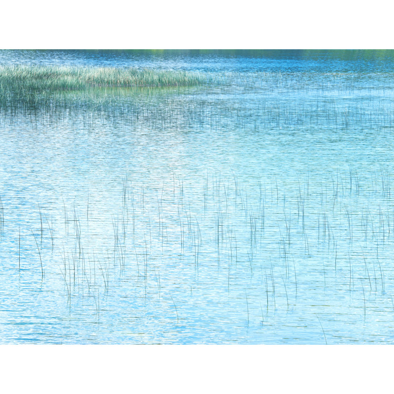 Reeds In Lake Pastel #2 Print by Bruce Heinemann, 24" H x 32" W, Black Framed Canvas