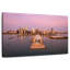 Nicci Chicago Navy Pier-109399324
