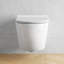Hampton Elongated Wall Mount Toilet Wall Hung Toilet Bowl-100562362