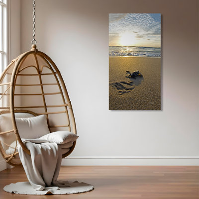 «Baby Sea Turtle», reproduction de photo sur toile encadrée