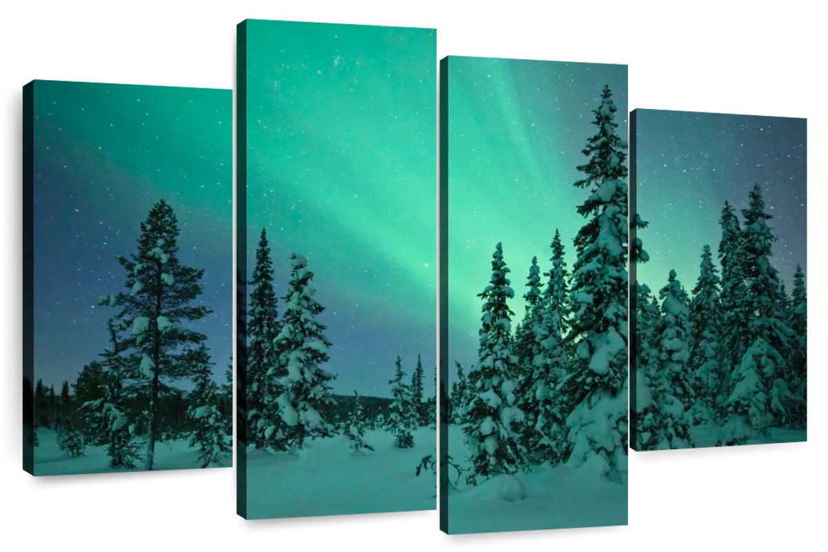 Millwood Pines Alvord Forest Scene | Wayfair