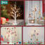Bouleau blanc avec lumières DEL - ensemble de 2, arbre de table à DEL avec minuterie, arbre de Noël illuminé pour décoration intérieure (2 pi, 24 DEL)
