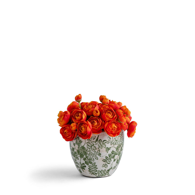 Baby Ranunculus, Orange