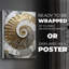Plaster Dreams III - Impression sur toile seulement - NON-CADRE-2046063289