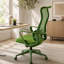 Fauteuil de bureau ergonomique et coloré 350LBS Home Office Mesh