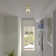 Husman Glass Semi Flush Mount