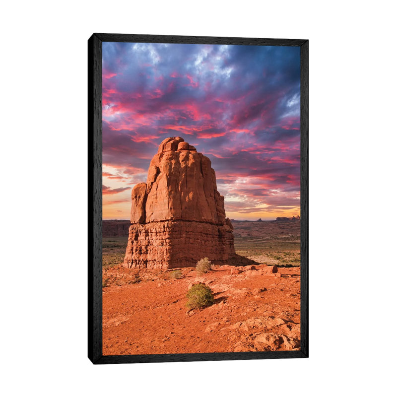 Desert Beauty by Mark Paulda - Print on Canvas, Black Floater Framed, 66.04cm H x 45.72cm W x 3.81cm D