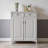 Modern Luxury Storage Shoe Cabinet