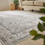 Anthonia Floral Area Rug-1036682637
