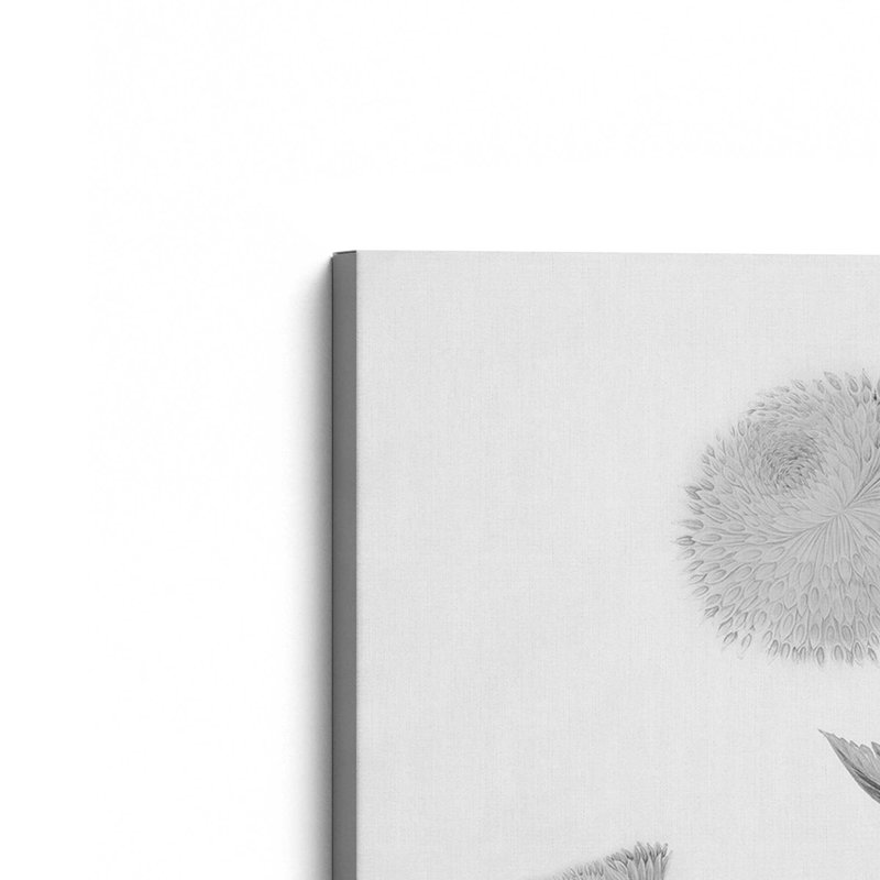 «Botanical IV» par Deborah Revell, reproduction d'art sur toile, H 12 po x l 8 po, Toile tendue, Ne s’applique pas