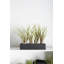 Sula Ceramic Pot Planter-196798659