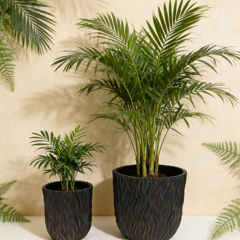Jardinières modernes Sierra avec système de drainage léger MGO et système de drainage