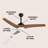Clorice 52'' Ceiling Fan with LED Lights-469123303