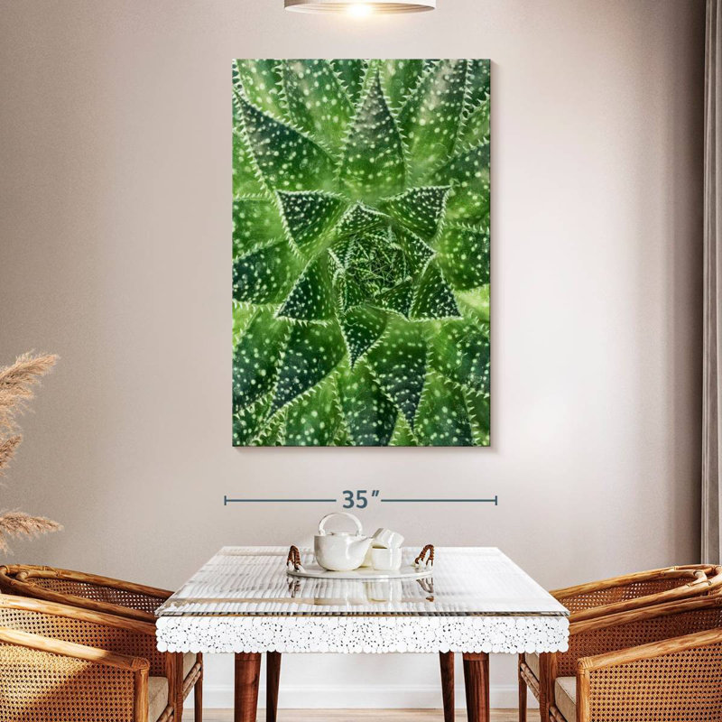 Harnek Spiny Succulent Plant, 51" H x 34" W