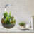  1.1 Gallons Eco-Sphere Round Fish Bowl