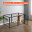 Dog House