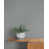 Gray selected