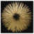 Toile tendue sélectionné