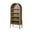 Tolle Bookcase-2070695372
