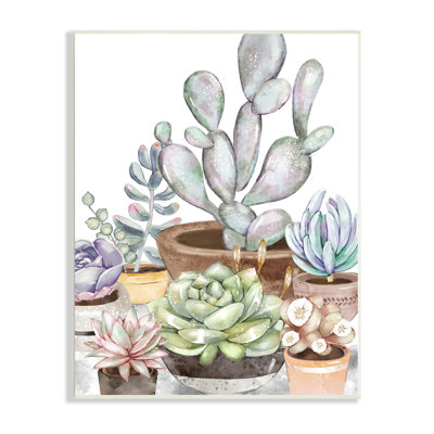 " Potted Succulent Modern Living Room Still Life Plants " Painting Print