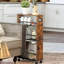 Gowanus 4-Tier Rolling Utility Cart with Handle