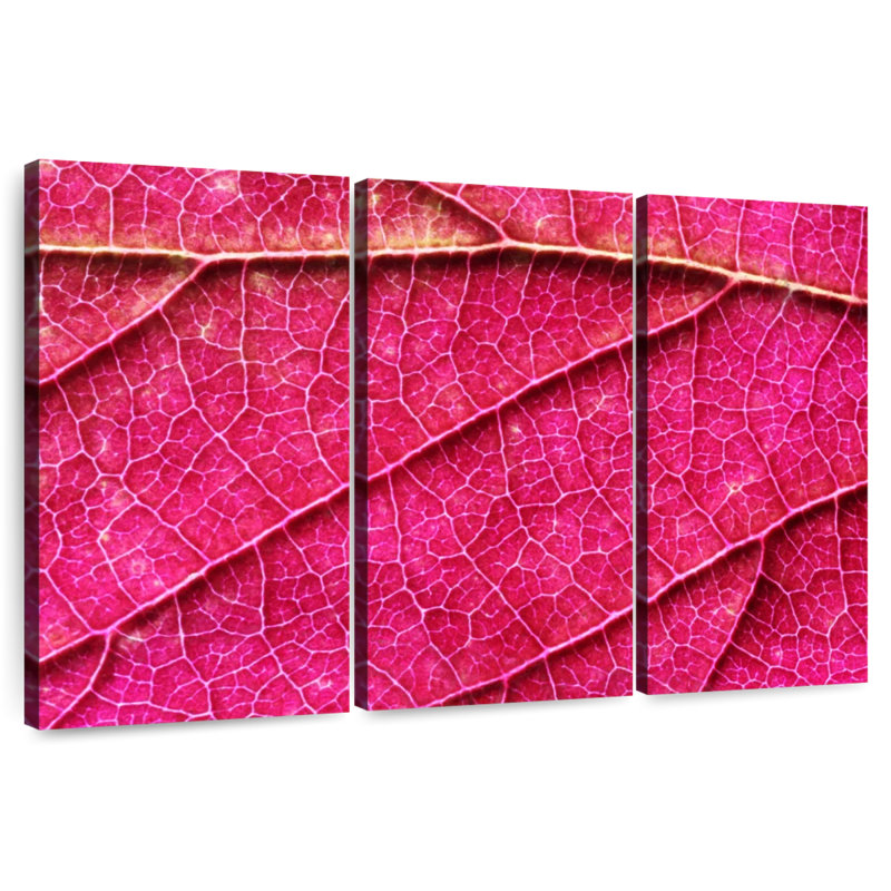 Pink Leaf Vein, 20" H x 33" W