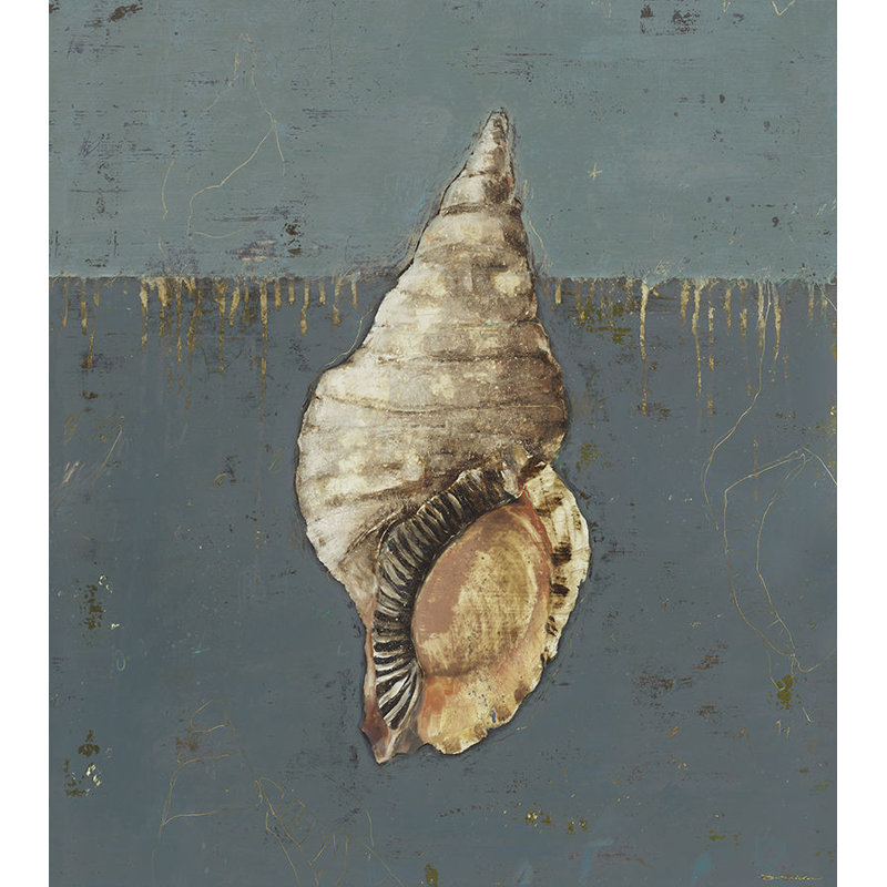 Seashell A Print by Sarah Atkinson, Glass Coat