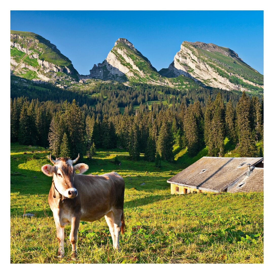 Strukturierte Fototapete Schweizer Alpenwiese mit Kuh 1,92 m x 192 cm