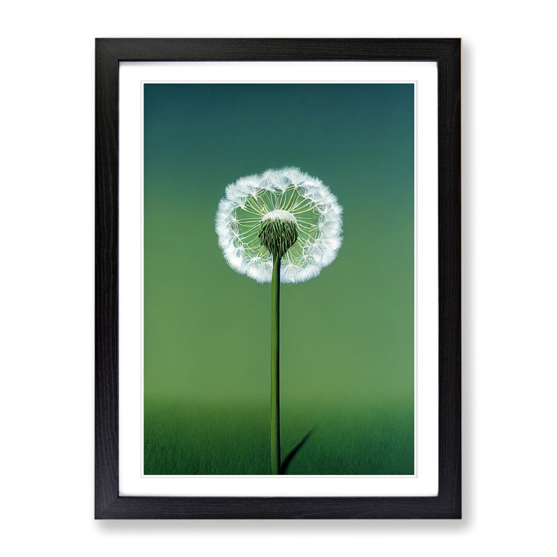 Single Dandelion - Single Picture Frame Print, Black, 64cm H x 46cm W x 2cm D
