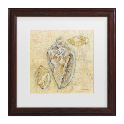 «Cheri Blum Shells IV Matted», art encadré