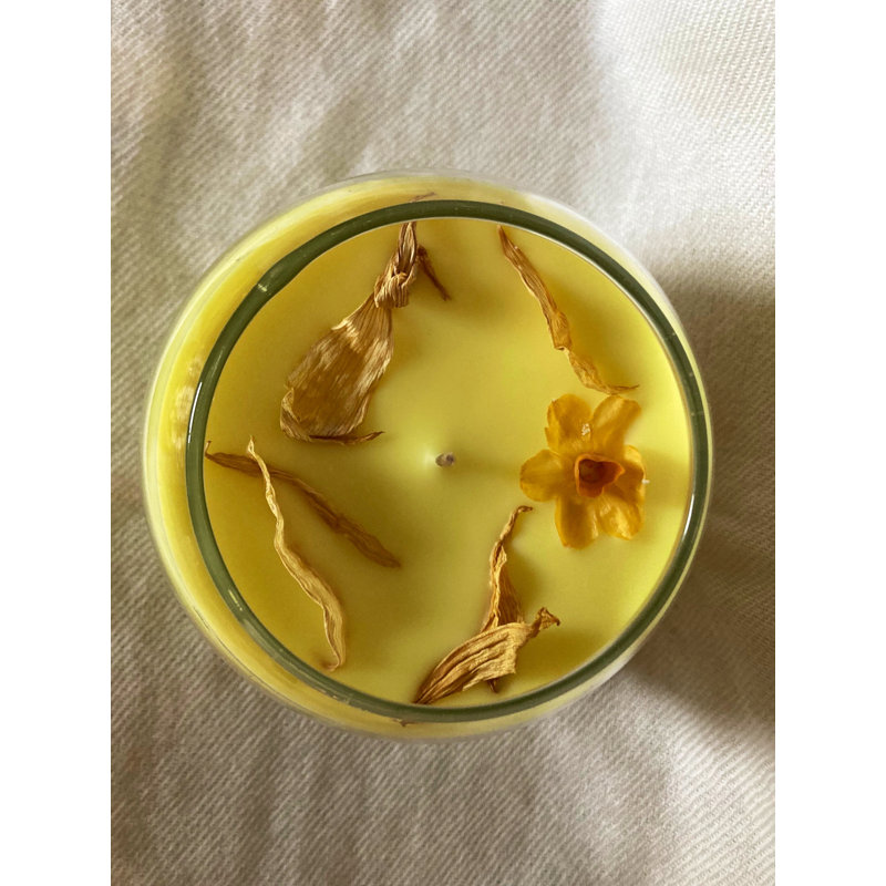 Darrius Daffodil Scented Jar Candle