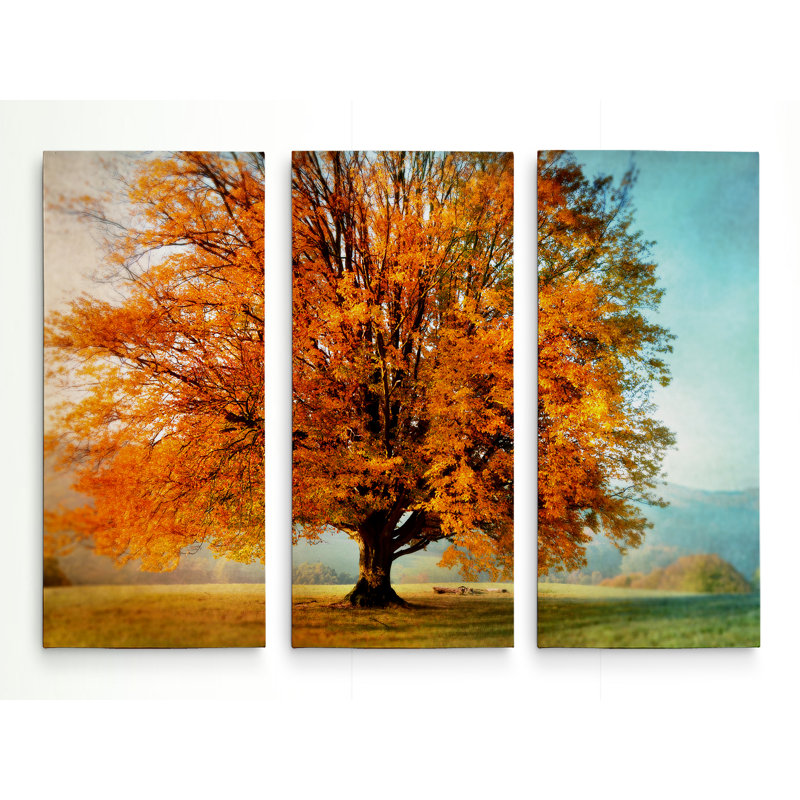 «Autumns Passion», image multi-pièces sur toile tendue, H 24 po x l 36 po x P 1,5 po