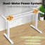 Dual  Motor Electric Standing Desk Frame With Cable Management Tray, Casters And Hooks-1214129761