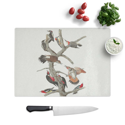 Tempered Glass Collection of Woodpeckers Chopping Board
