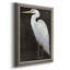 " White Heron Portrait II "-924232800