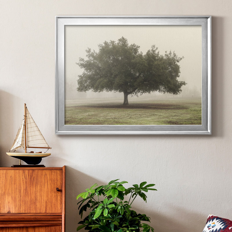 «Trees In The Fog II», reproduction encadrée de qualité supérieure - prête à être accrochée, H 26,5 po x l 36,5 po x P 1 po