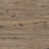 Hickory caché est en rupture de stock