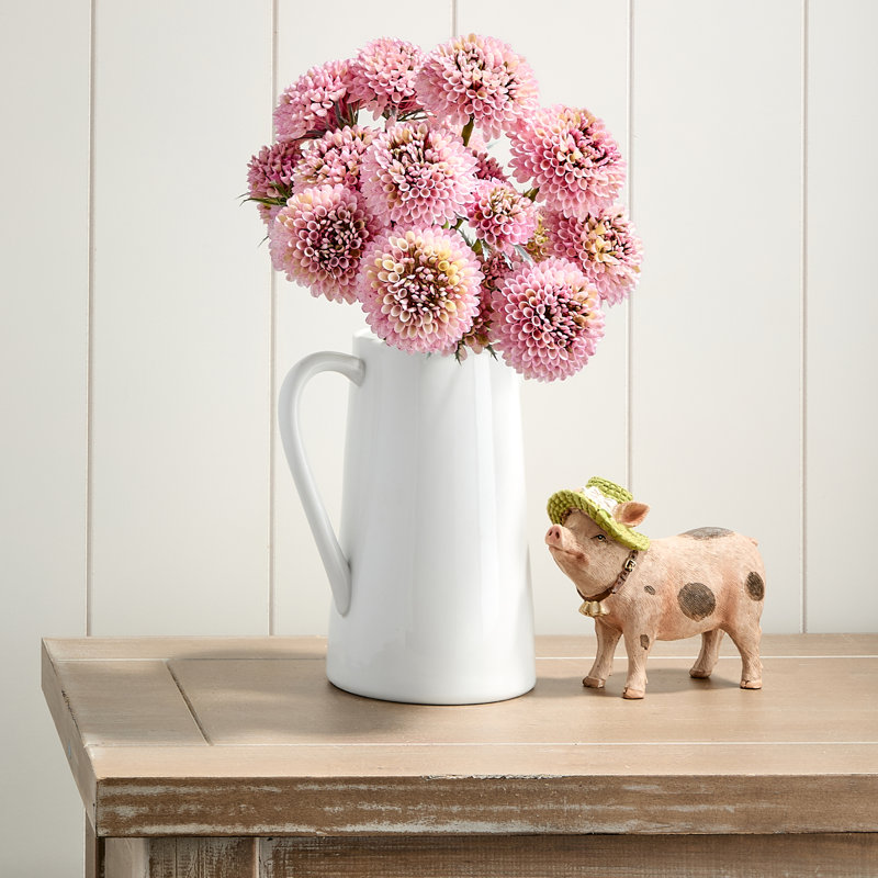 Ensemble de 14 po Scabiosa, Rose