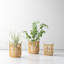 Handmade Bamboo Basket With Handles - Set of 3