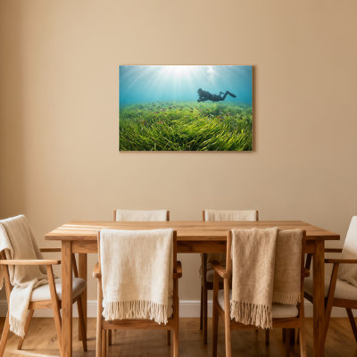 «Underwater Scuba Diver And Seagrass Field», reproduction d'art sur toile tendue sur toile (ensemble de 1)