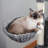 Cat Tree House-520103386