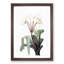 White Crinum Flowers - Picture Frame Art Prints-55612557-55612558