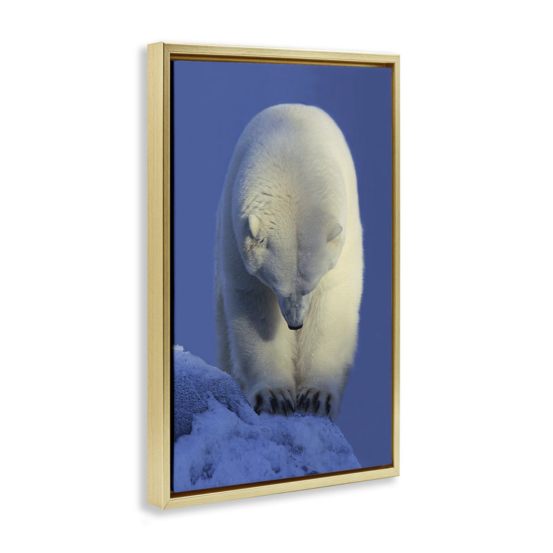 Toile flottante encadrée «Contemplation» par Shane Lamb, Cadre flottant métallique doré, H 25 po x l 17 po