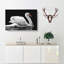 White Swan Swimming - Wrapped Canvas Print-56641708