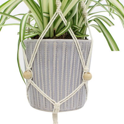 Plant Support