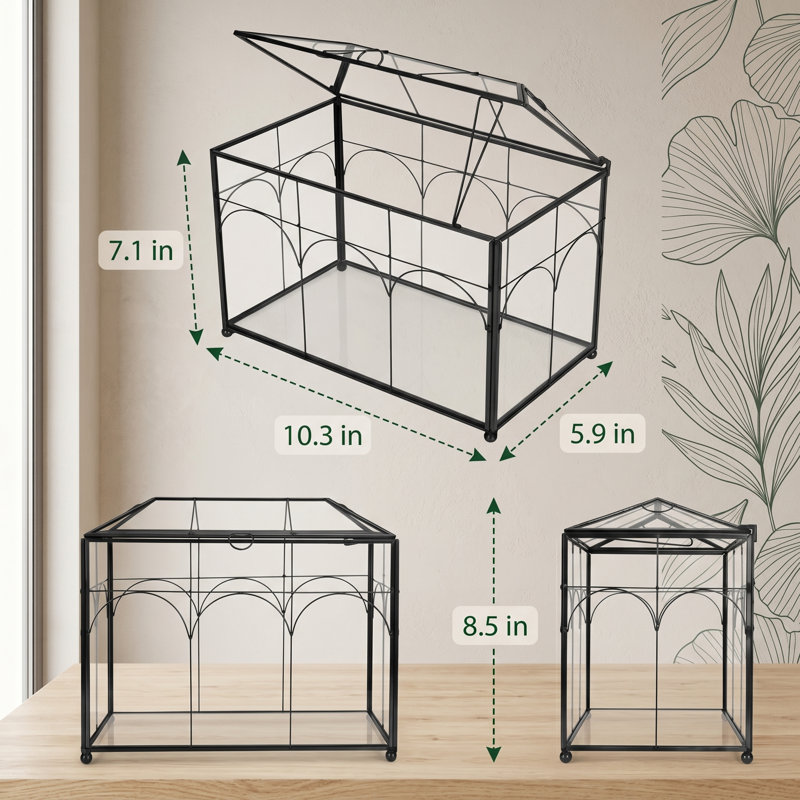 Terrarium en verre fabriqué à la main avec couvercle amovible