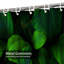 Feuilles ornementales vert, noir, forêt tropicale foncée, jungle, feuille avec 12 crochets-267167600