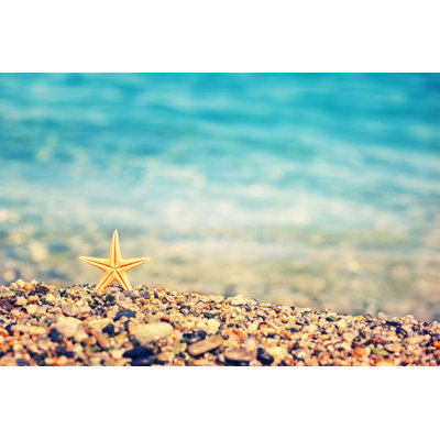 Starfish on The Beach by Kajakiki